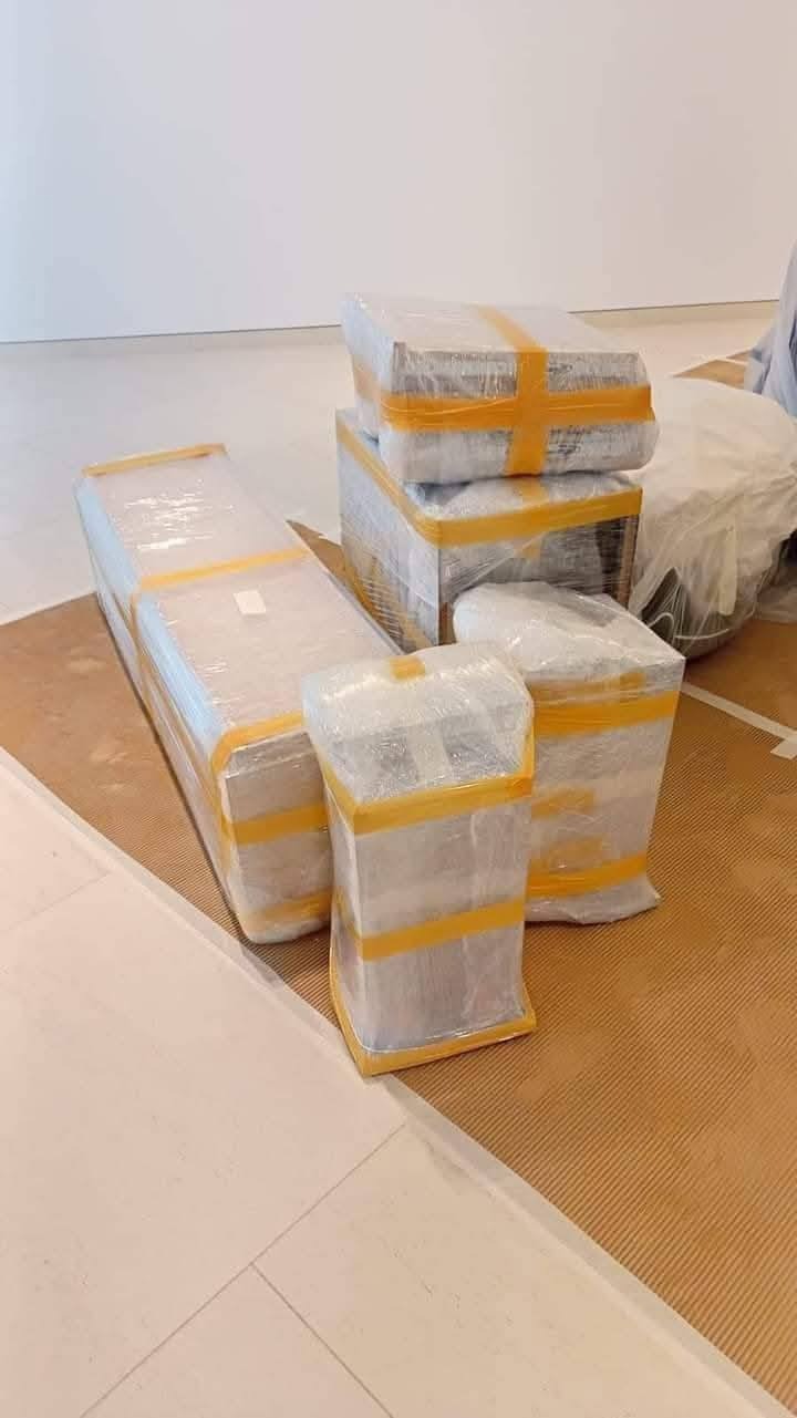 Professional Cleaners Team